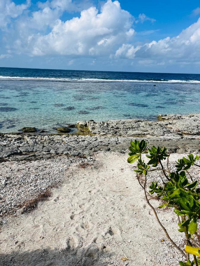 Bungalow Kura Moorea Exteriör bild